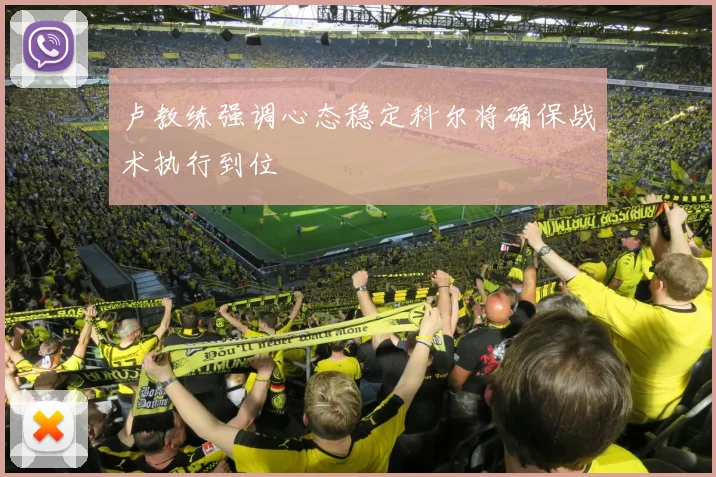 卢教练强调心态稳定科尔将确保战术执行到位