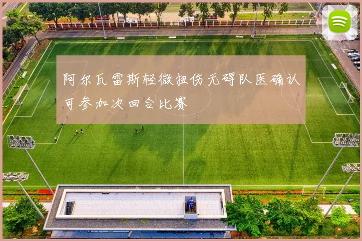 阿尔瓦雷斯轻微扭伤无碍队医确认可参加次回合比赛