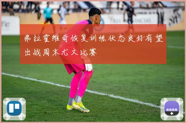 弗拉霍维奇恢复训练状态良好有望出战周末尤文比赛
